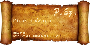 Pisak Szénia névjegykártya